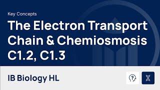 The Electron Transport Chain and Chemiosmosis video thumbnail