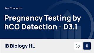 Pregnancy Testing by hCG Detection video thumbnail